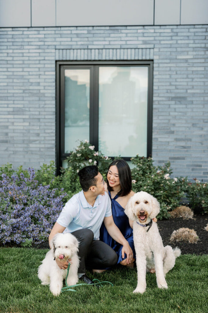 A couple laughing and squatting down with two dogs in front of them. 